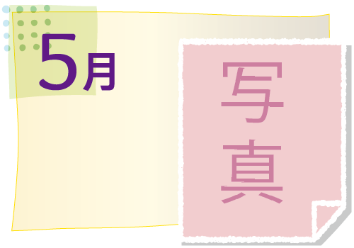 5月の活動イベント