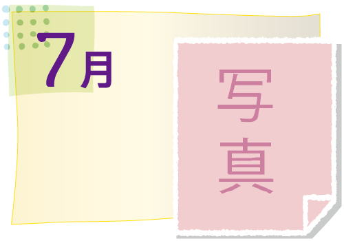 7月の活動イベント